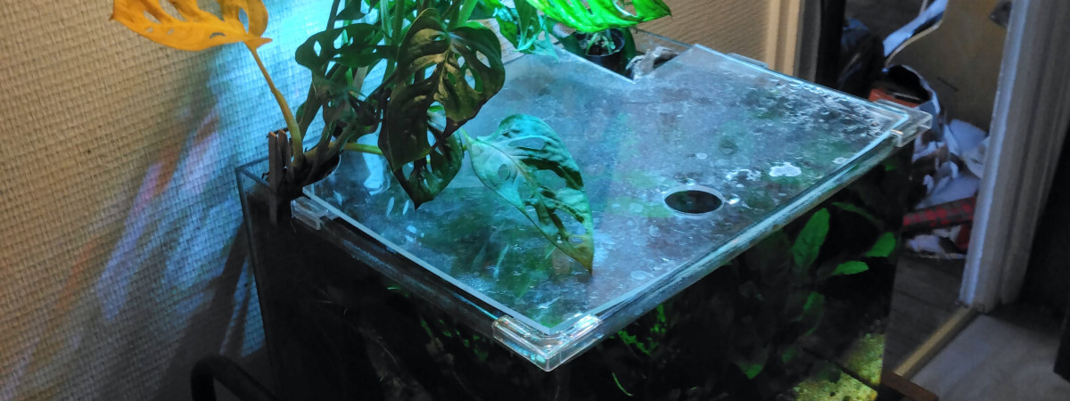 aquarium 35l couloir