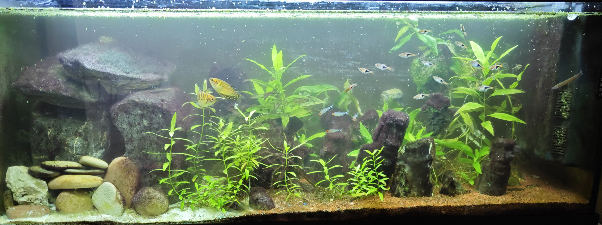 aquarium 120L