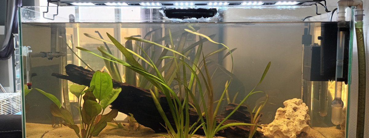 aquarium Int80