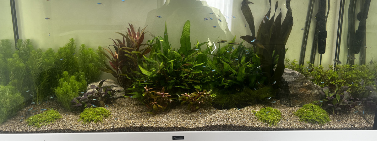 aquarium Aquarium 300 Litres