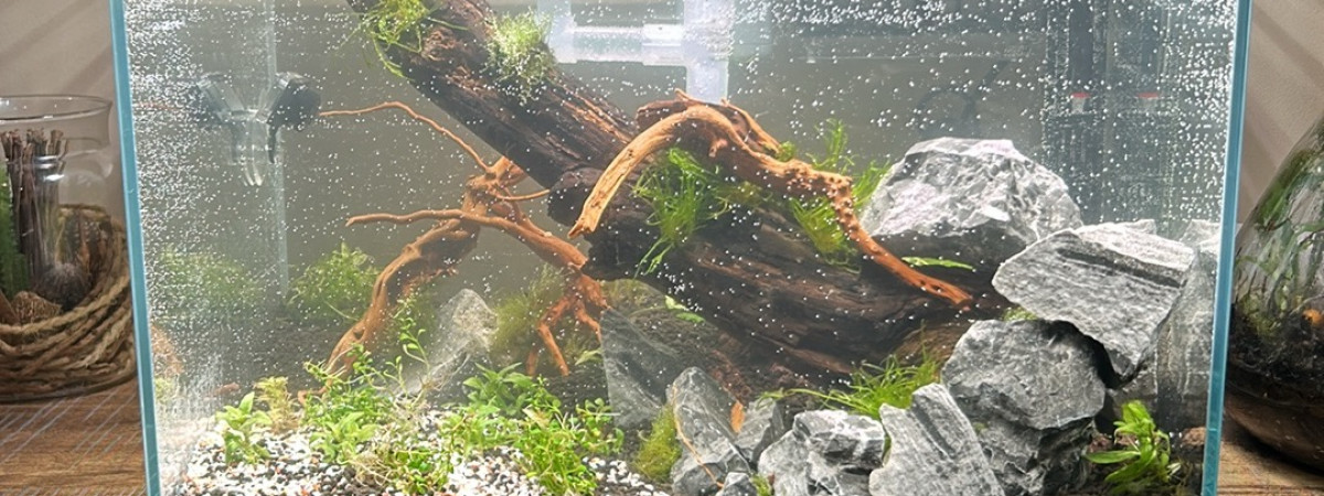 aquarium Test