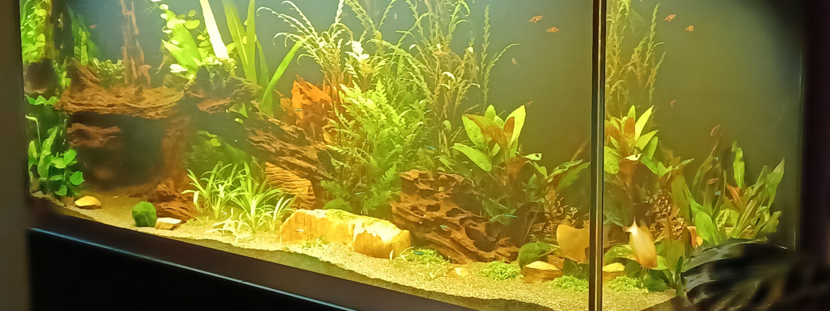 aquarium Oase Highline 400