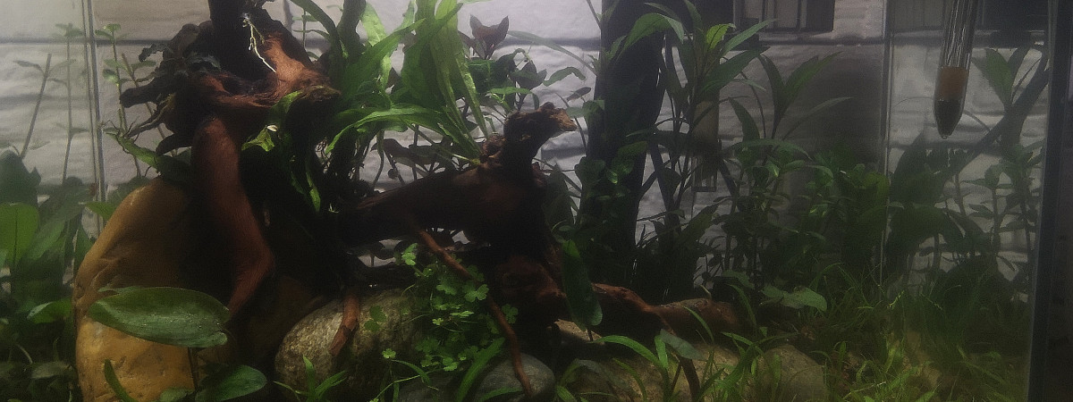 aquarium Blau 30