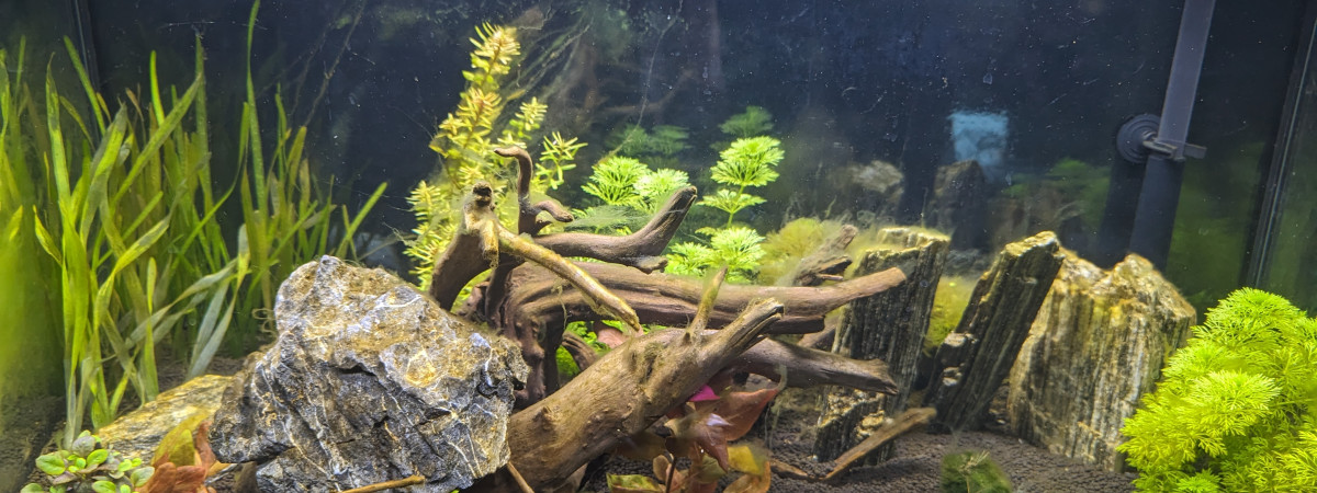 aquarium AQUATLANTIS 2024