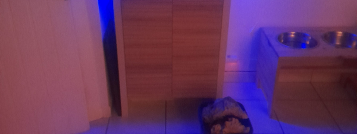 aquarium Recifaldu56.56