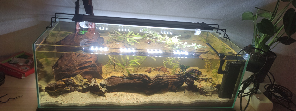 aquarium 30 litres en longueur