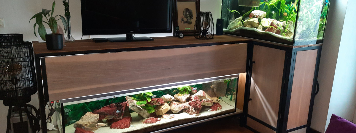 aquarium Ensemble du 600L et 360 L malawi