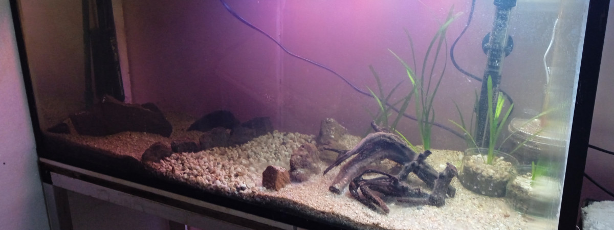 aquarium Bac100