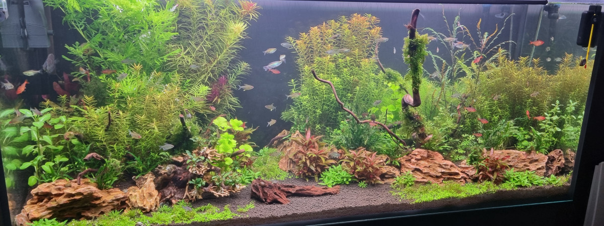 aquarium DELTA
