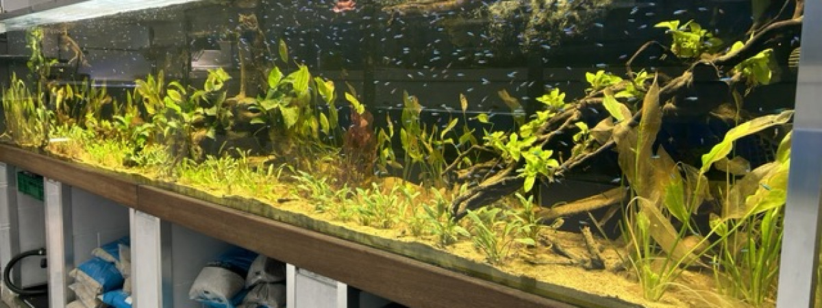 aquarium Moby Dick