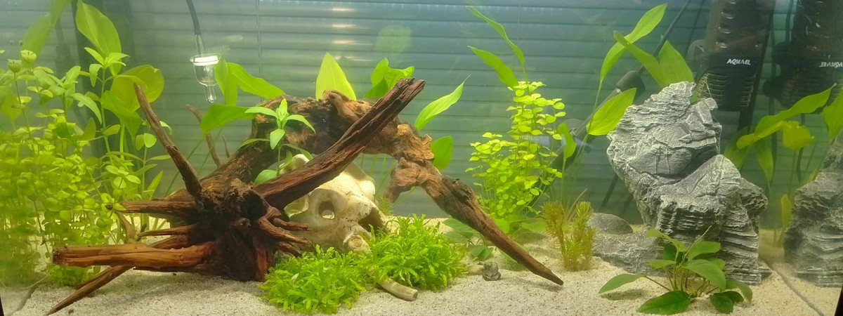 aquarium Aquael 105