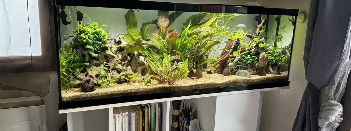 aquarium Aquarium 330L