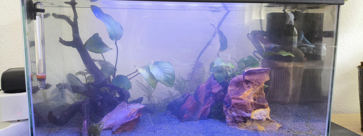 aquarium Nano Gardneri