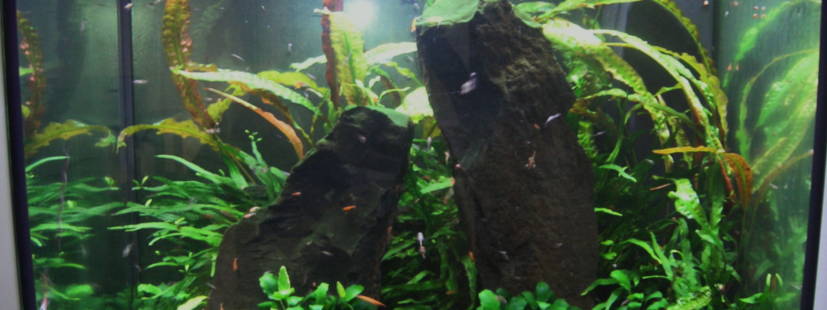 aquarium Lido 200 litres