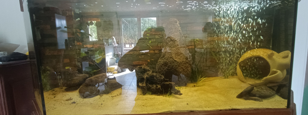 aquarium Passet Philippe