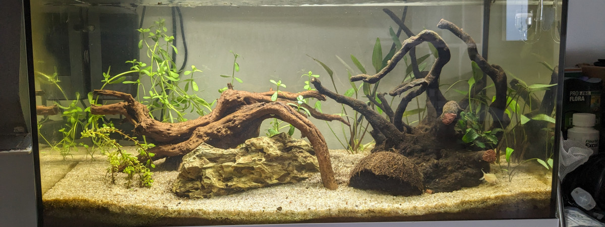aquarium 60L