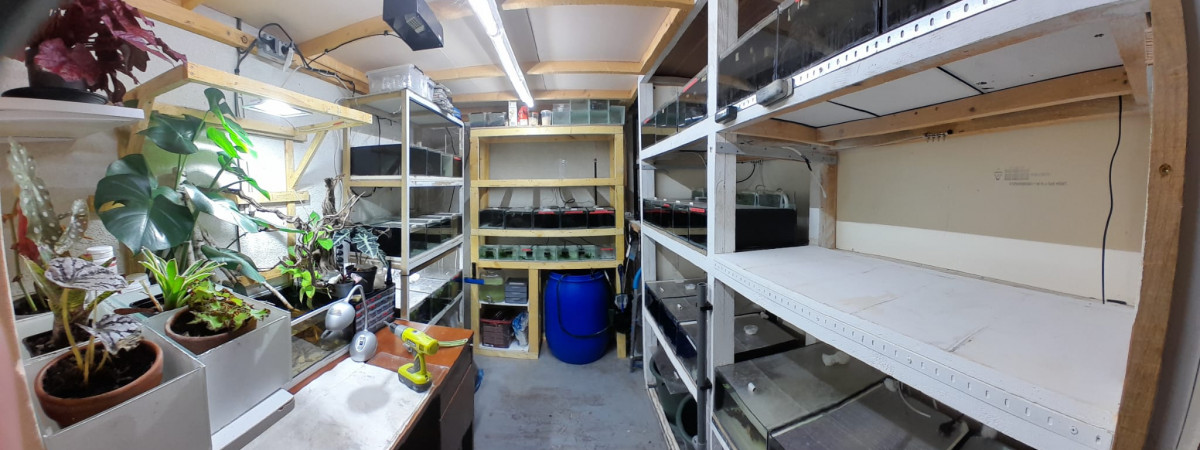 aquarium fishroom