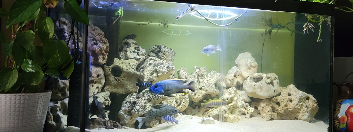 aquarium 400l