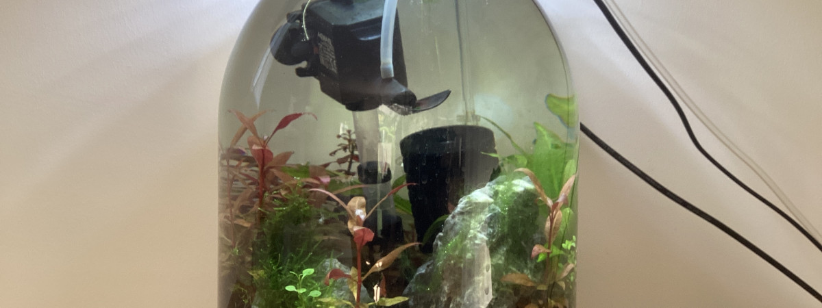 aquarium Tiny