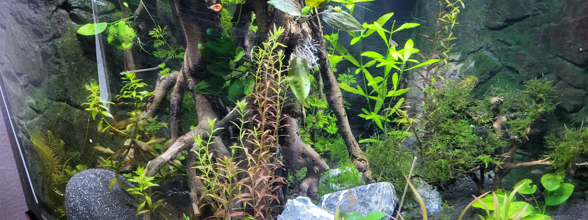 aquarium Juwel  trigon 190