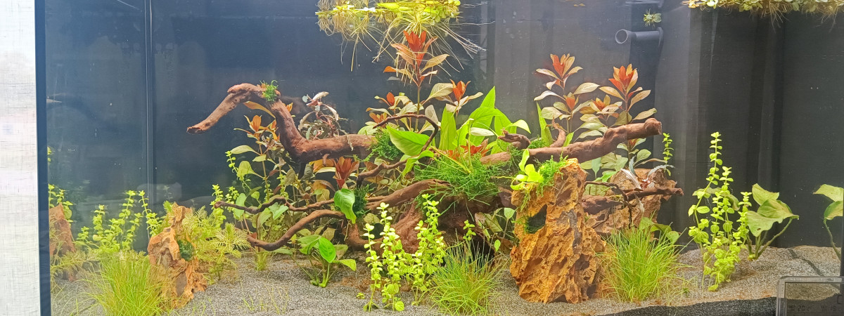 aquarium Premier aquarium 125L