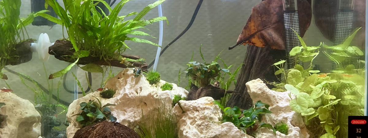 aquarium Crecreland