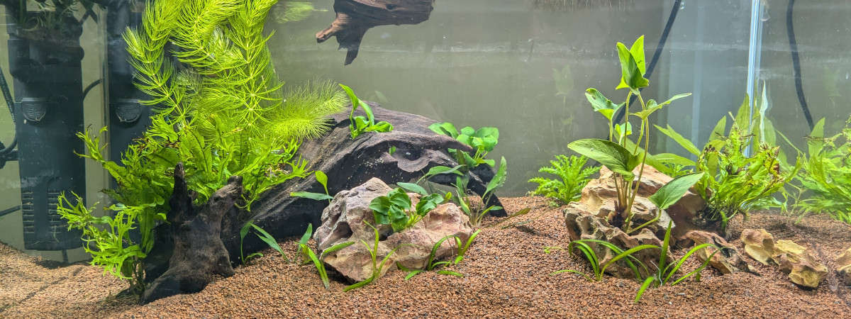 aquarium 60 Litres Noir