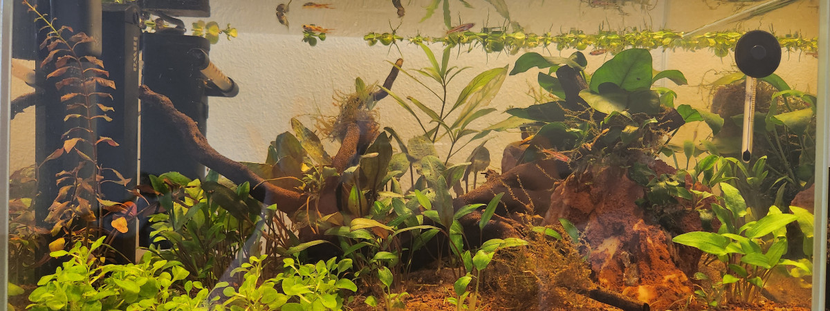 aquarium PoguelandFish