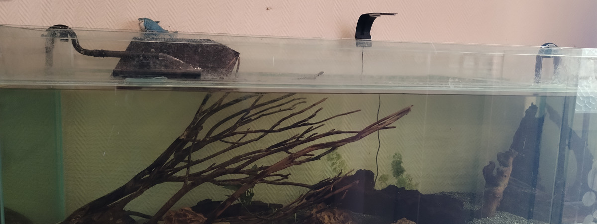 aquarium 600l