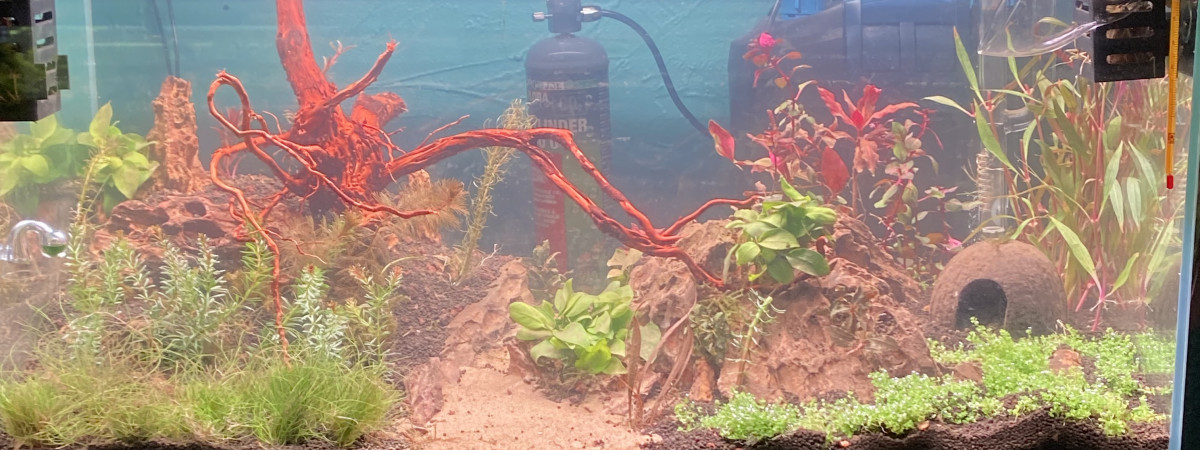 aquarium New Life