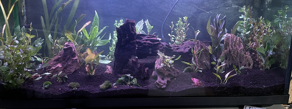 aquarium 200 Litres