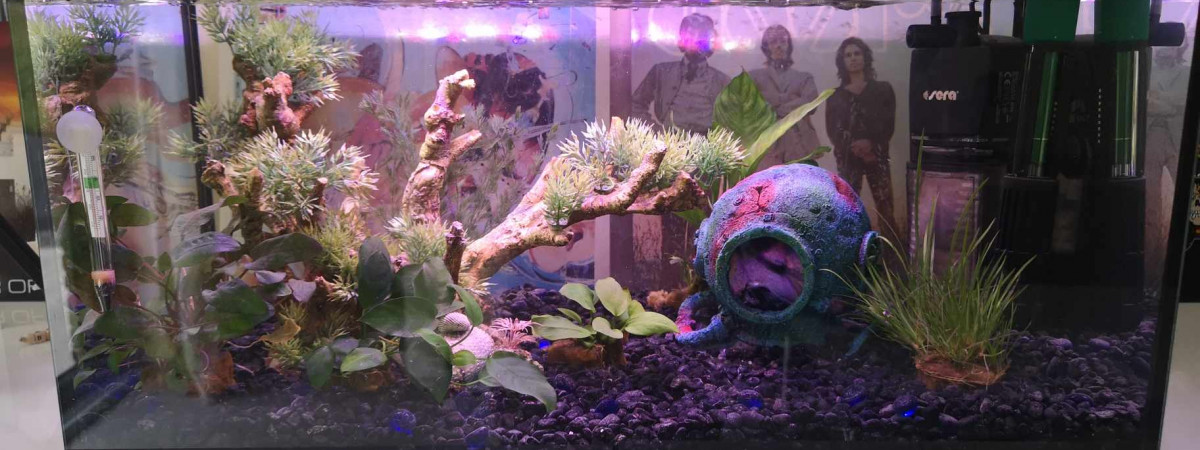 aquarium Premier