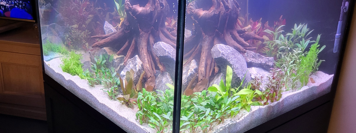 aquarium 600l