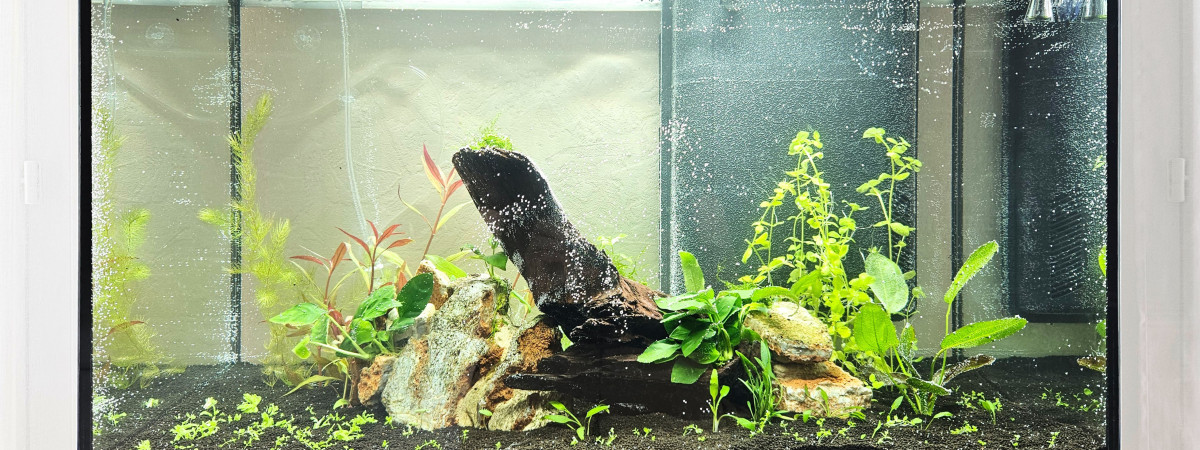 aquarium Aquatlantis