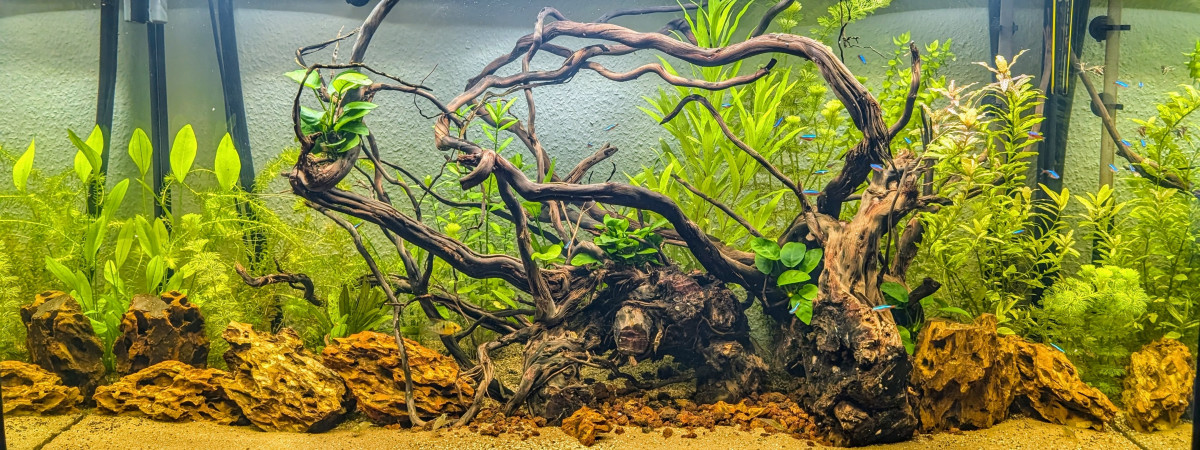 aquarium Rio 350