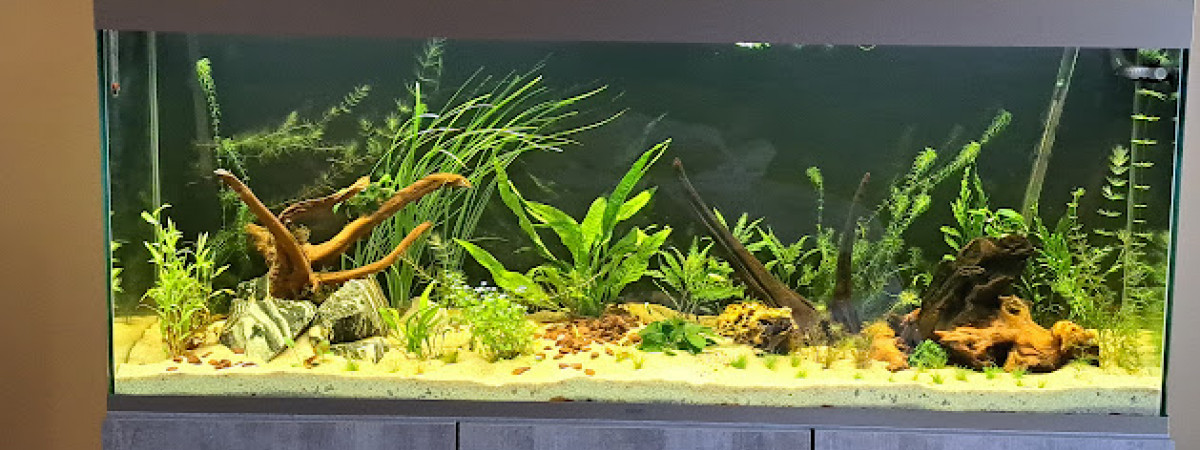 aquarium didier