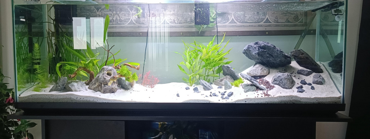 aquarium Bac 300l