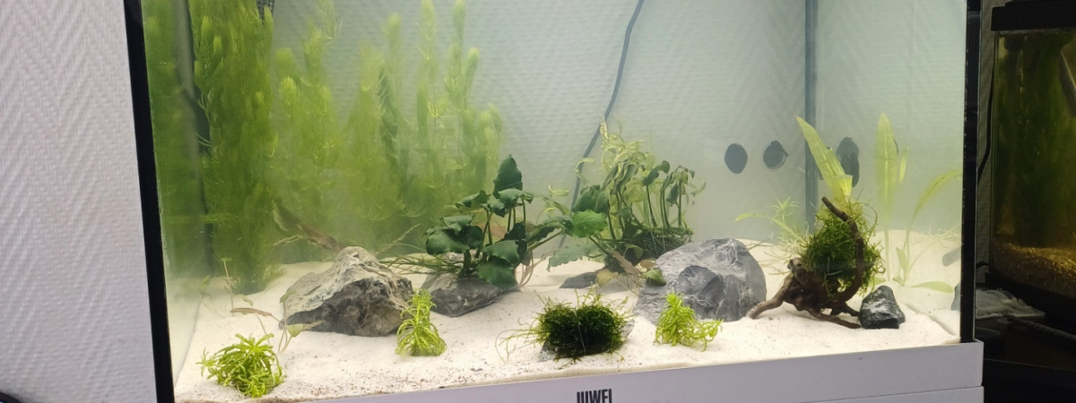 aquarium Aquarium 120L