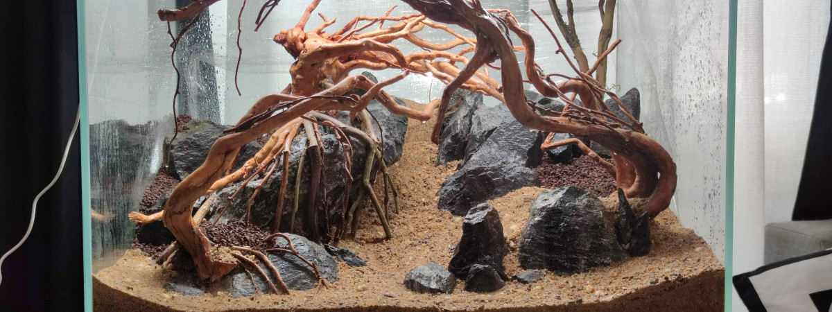 aquarium Hardscape