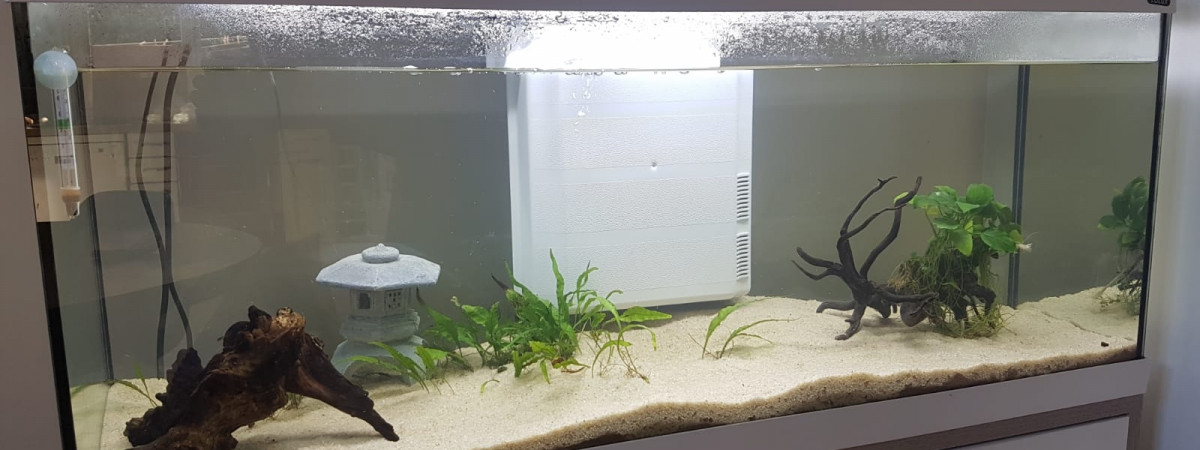 aquarium NéonHeaven