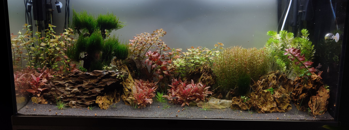 aquarium Aquatlantis 250l