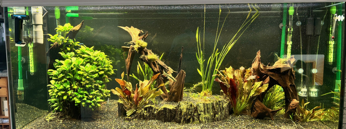 aquarium Mon bac 421 l