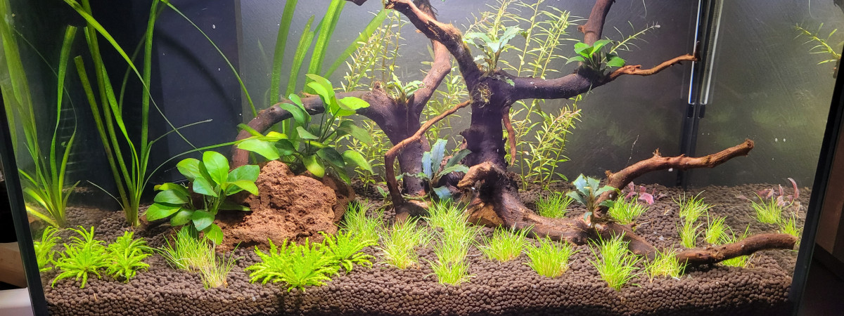 aquarium 30 l