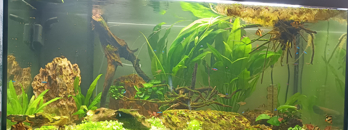 aquarium Juwel 350L