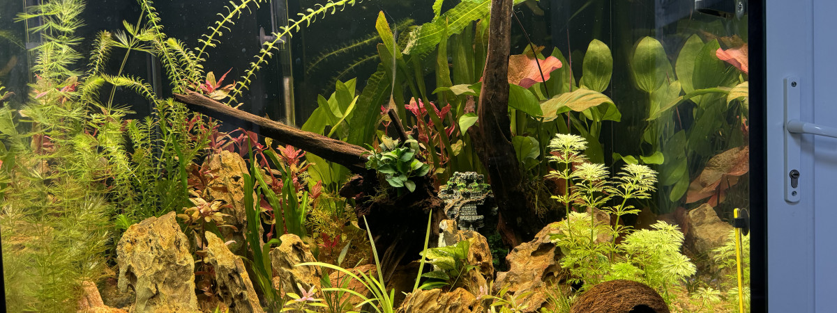 aquarium ET aquaworld