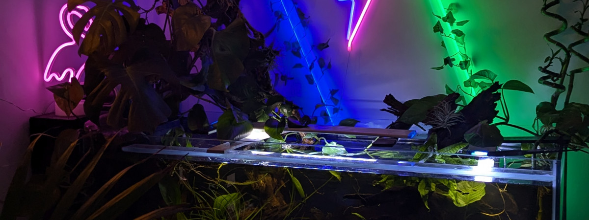aquarium Aquarium 330L