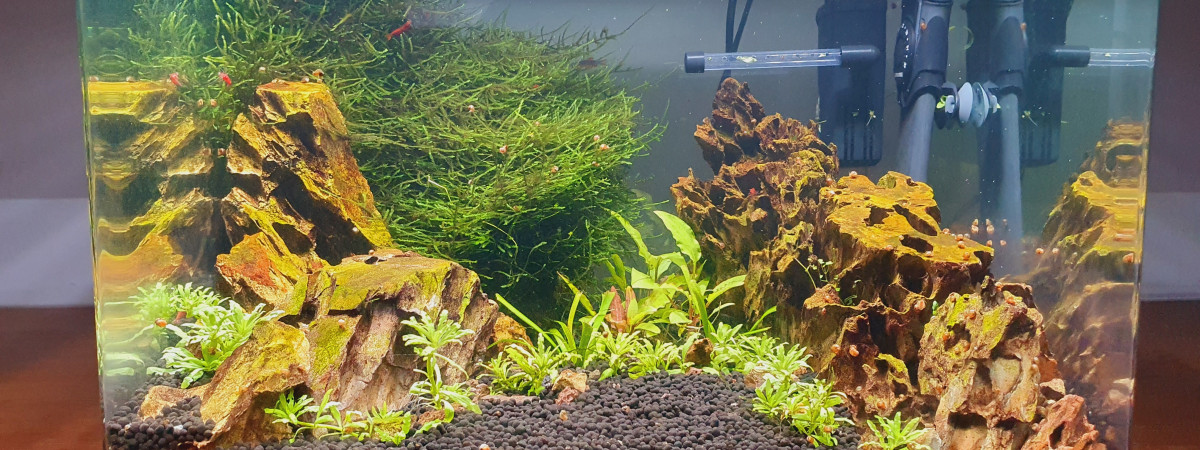 aquarium Canyon