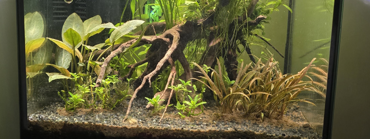 aquarium 30L