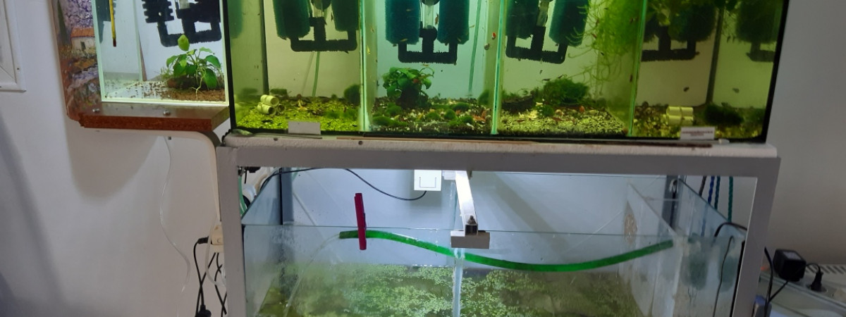 aquarium PORTELLI