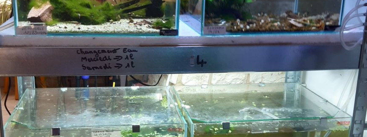 aquarium PORTELLI